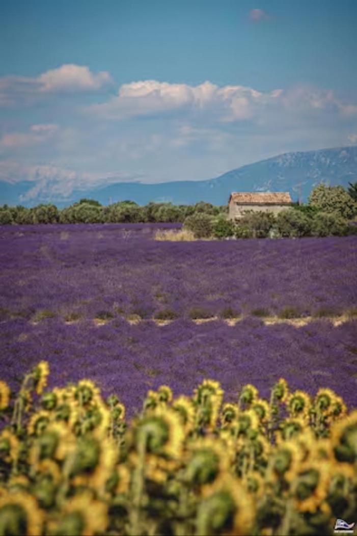 Studio Calanques Pres Du Vieux Port มาร์กเซย ภายนอก รูปภาพ