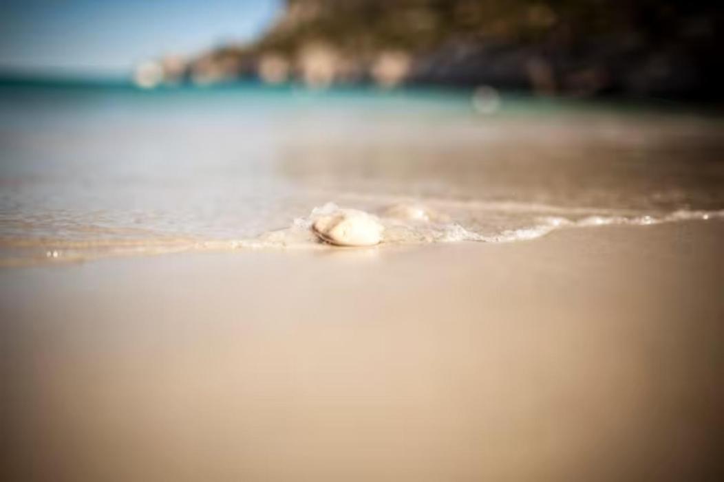 Studio Calanques Pres Du Vieux Port มาร์กเซย ภายนอก รูปภาพ